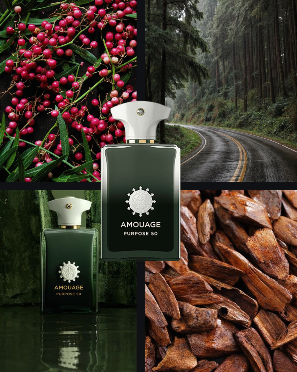 AMOUAGE Purpose 50